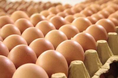庆阳鸡蛋检测价格,鸡蛋检测机构,鸡蛋检测项目,鸡蛋常规检测
